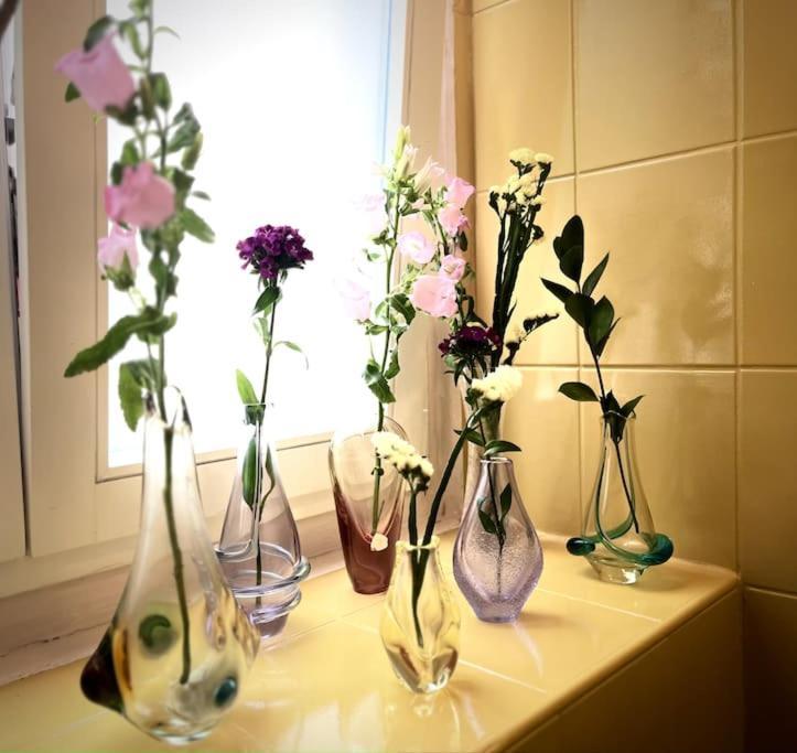 Sunny City - Apartment In Spa Zone With Private Garage Karlsbad Eksteriør billede